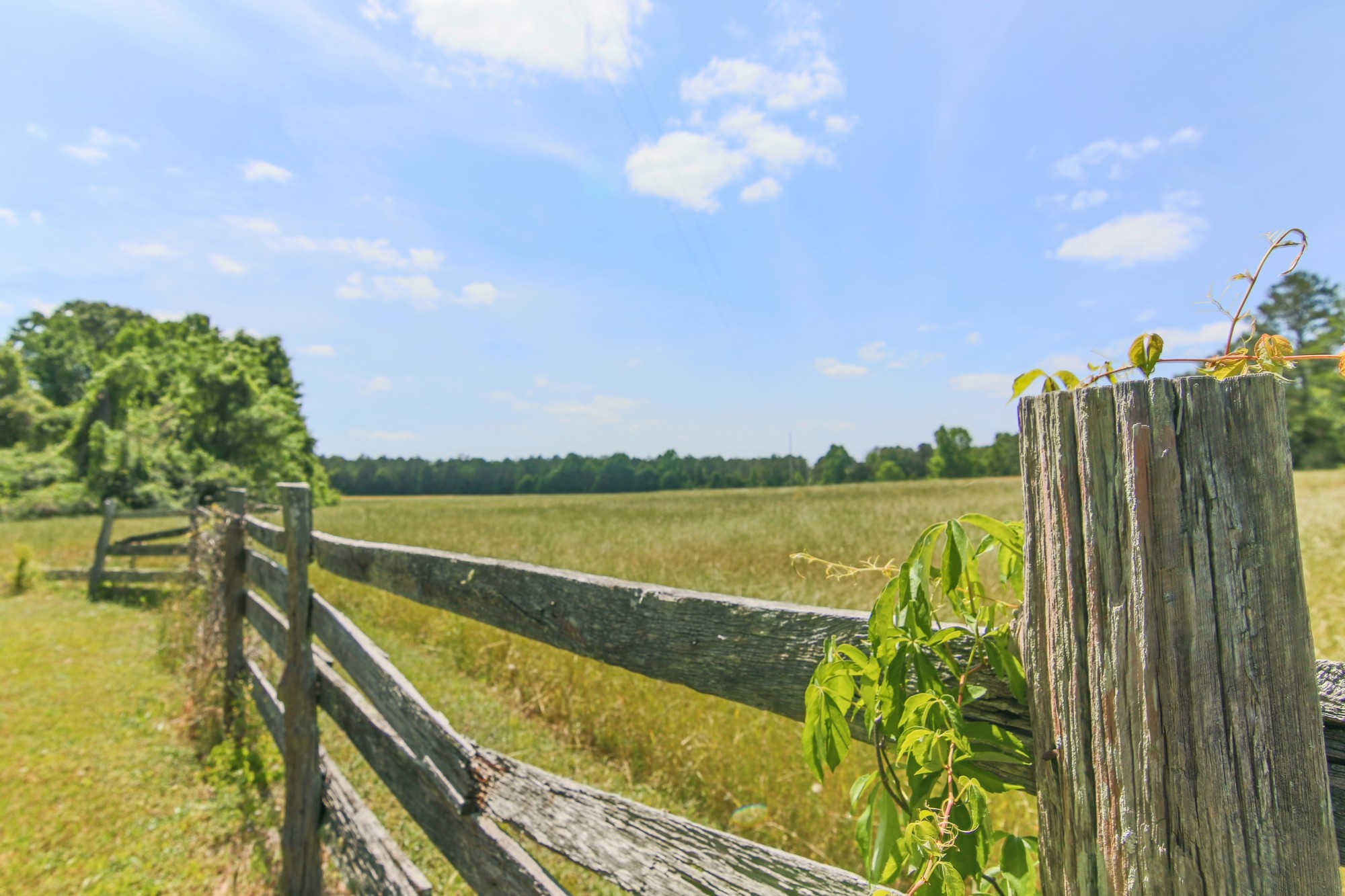 Sell Your Alabama Property Fast: We Buy Land Anywhere